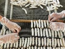 今年TA们获官方认证！湛江的秘密藏不住了