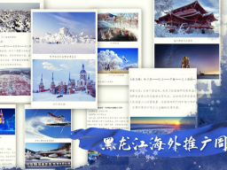 毛里求斯中国文化中心启动2022“北方冰雪旅游海外推广季”