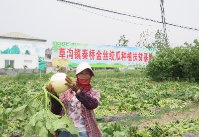安徽泗县：财政撬动金融支农  助推乡村产业振兴