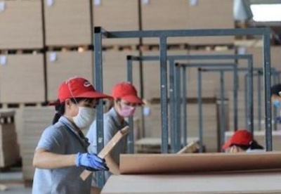 广西成全国最大人造板生产基地