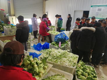 芜湖繁昌区：省级非遗“荻港香菜制作技艺”走进校园