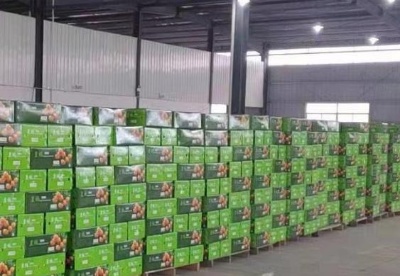 浙江衢州椪柑今年已出口近二百标箱 走俏东南亚市场