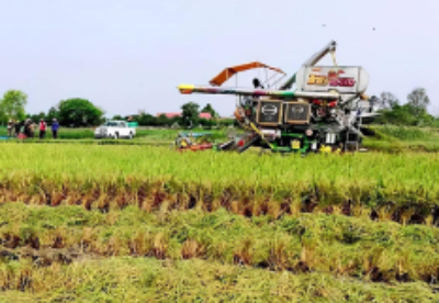 柬埔寨额外拨出1亿美元支持农业和中小企业