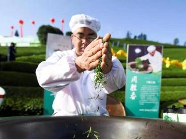 浙江武义：数字赋能茶更香 “四色”茶叶促共富