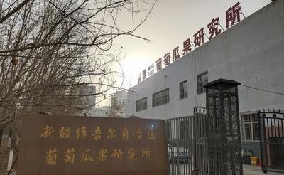 鄯善县电子商务公共服务中心深入农特产品企业开展调研工作