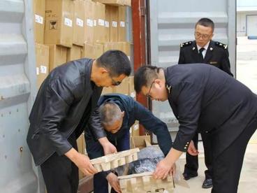 甘肃（武威）国际陆港进出口快速增长