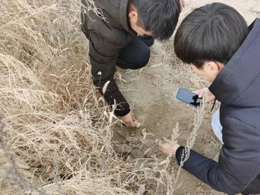 鄯善县电子商务公共服务中心负责人一行赴大芸基地进行实地考察