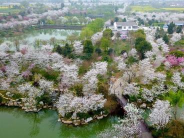 旅游绿皮书：微度假旅游逐渐成为游客首选出行模式