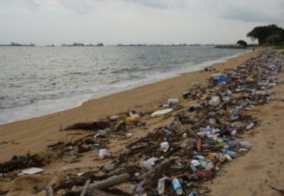 新智库聚焦东南亚塑料污染问题  