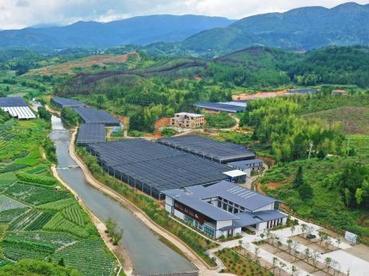 福建屏南：高山农业生机盎然 打造乡村振兴“新引擎”