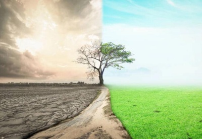 印智库称粮食安全必须考虑气候与非气候风险