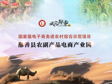 鄯善县农副产品电商产业园