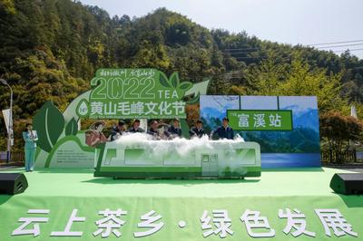 云上直播助力茶乡绿色发展   2022年第十四届黄山毛峰文化节开幕
