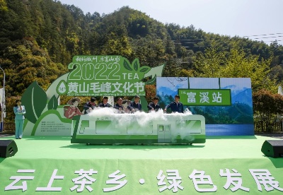 云上直播助力茶乡绿色发展   2022年第十四届黄山毛峰文化节开幕