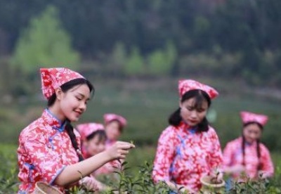2022庐山国际名茶名泉博览会开幕 茶商茶企享文化盛宴