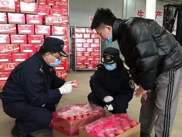 甘肃特色农产品多渠道拓国际市场 成外贸进出口新增长点