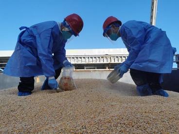 今年首季广东进口原油同比大增68.1%
