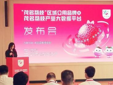 “中国荔乡”广东茂名市发布荔枝产业大数据平台