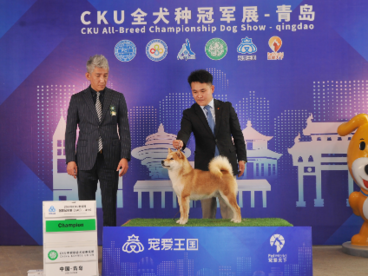小萌宠大经济，机构预计中国宠物市场规模已突破