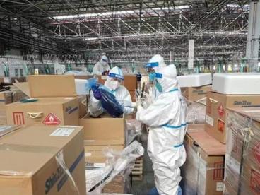 企业出口复苏明显 5月以来上海出口原产地签证货值环比增长超五成