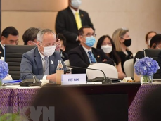 越南在基于原则和规则的基础上支持多边贸易体系