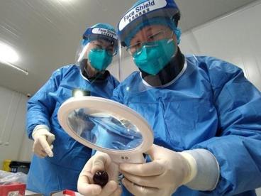 宁波口岸2022年前四个月进口水果近2万吨