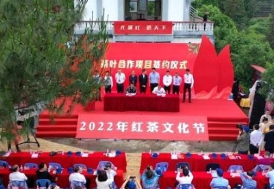 数字科技赋能茶行业发展 福建尤溪举办红茶文化节