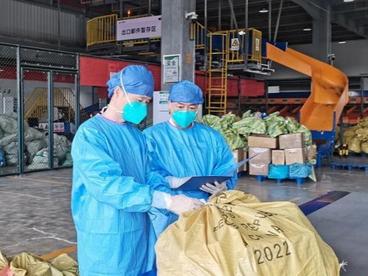 中欧班列（武汉）成为国际邮件疏运新通道