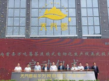 张家界首条万吨莓茶自动化生产线投产 助力茶旅融合