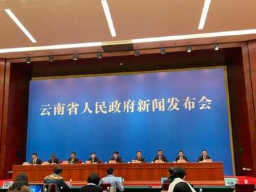 9方面48项 云南出台稳经济一揽子政策措施