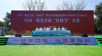 苗木产业助力乡村振兴    中国·明光首届“朴树节”开幕