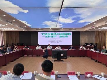 青海打造世界牦牛种源基地