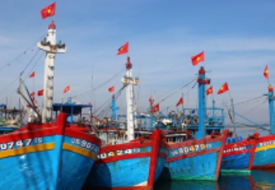 越南大力建设渔港