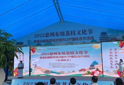 广东惠州“东坡荔枝”走出国门 今年已出口2500公斤