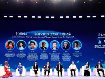 做好“茶文章” 福建宁德打造现代化生态茶产区