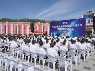 破产重整成功——翁牛特旗蒙都羊业“重获生机”