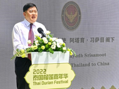 RCEP助力，2022年上半年泰国榴莲输华已达50多万吨