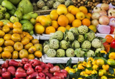 《越南对中国农产品正贸出口指南》正式出版发行