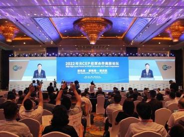 海内外二百余嘉宾相聚山东青岛共研深化RCEP经贸合作