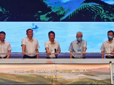 2022中国（江西）茶产业高质量发展大会开幕