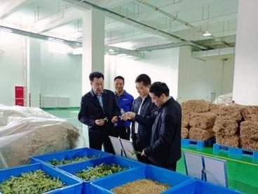 甘肃上半年中药材出口增幅逾四成