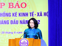 越南统计总局：6.5%的增长率目标是巨大的挑战