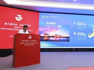 洋山特殊综合保税区力争2025年实现经营总收入达1万亿元