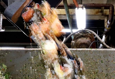 澳智库关注日本的缓解食物浪费行动