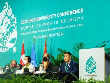 伊利亮相COP15向世界讲述生物多样性保护的“中国故事”