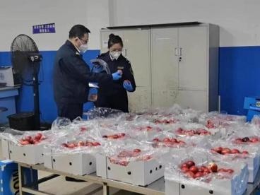 广州海关关区超100亿元RCEP货物进出口享惠