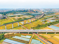 感知今日中国 搭建友谊桥梁