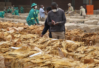 天泽公司以订单管理模式“激活”津巴布韦烟草市场