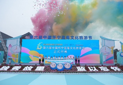 做大做强做优蓝莓产业   第六届中国怀宁蓝莓文化旅游节开幕