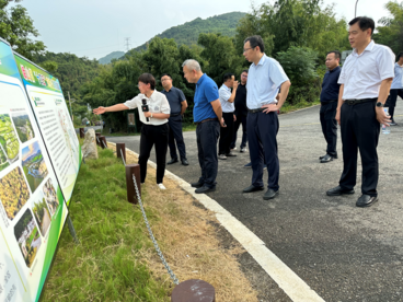 安徽芜湖繁昌区：打造特色景观绿道  建设宜居宜游和美乡村